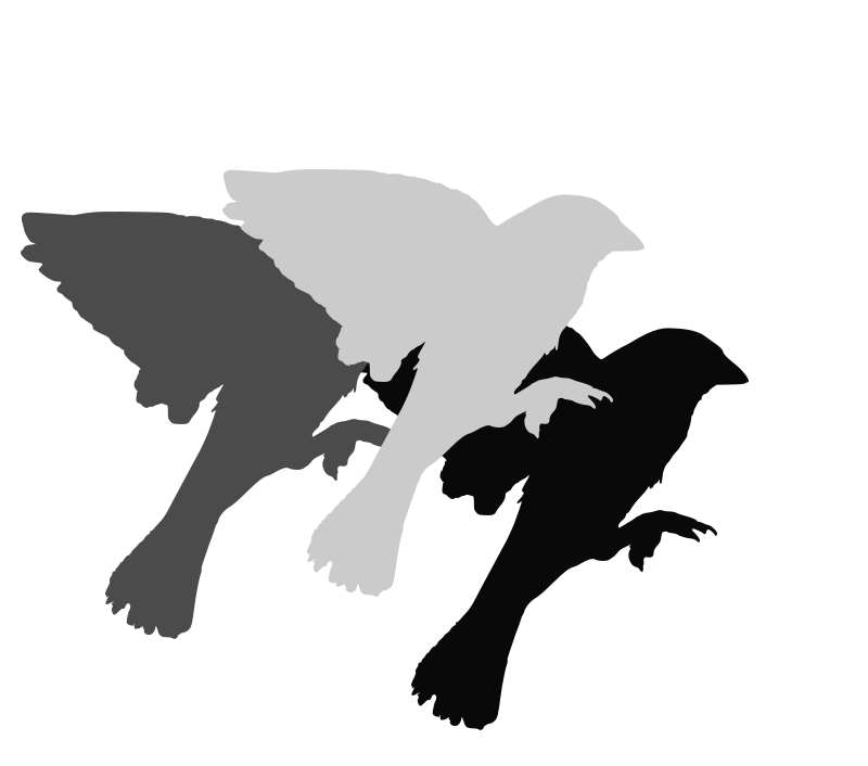 Many Sparrows Media Logo